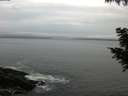 ./images/koeye/fitz-hugh/20200830/fitz-hugh20200830_082501.jpg