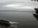 ./images/koeye/fitz-hugh/20200830/fitz-hugh20200830_083501.jpg