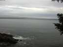 ./images/koeye/fitz-hugh/20200830/fitz-hugh20200830_084001.jpg