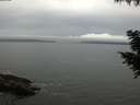 ./images/koeye/fitz-hugh/20200830/fitz-hugh20200830_090501.jpg