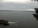 ./images/koeye/fitz-hugh/20200830/fitz-hugh20200830_091001.jpg
