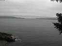 ./images/koeye/fitz-hugh/20200830/fitz-hugh20200830_092502.jpg