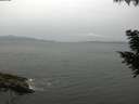 ./images/koeye/fitz-hugh/20200830/fitz-hugh20200830_094502.jpg