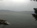 ./images/koeye/fitz-hugh/20200830/fitz-hugh20200830_095002.jpg