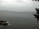 ./images/koeye/fitz-hugh/20200830/fitz-hugh20200830_101502.jpg