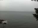 ./images/koeye/fitz-hugh/20200830/fitz-hugh20200830_105001.jpg