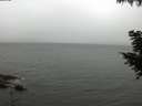./images/koeye/fitz-hugh/20200830/fitz-hugh20200830_105501.jpg