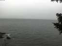 ./images/koeye/fitz-hugh/20200830/fitz-hugh20200830_110501.jpg