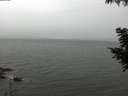 ./images/koeye/fitz-hugh/20200830/fitz-hugh20200830_111501.jpg