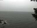 ./images/koeye/fitz-hugh/20200830/fitz-hugh20200830_112501.jpg