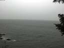 ./images/koeye/fitz-hugh/20200830/fitz-hugh20200830_113501.jpg