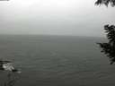./images/koeye/fitz-hugh/20200830/fitz-hugh20200830_114001.jpg
