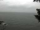 ./images/koeye/fitz-hugh/20200830/fitz-hugh20200830_114501.jpg