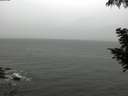 ./images/koeye/fitz-hugh/20200830/fitz-hugh20200830_115501.jpg