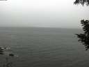 ./images/koeye/fitz-hugh/20200830/fitz-hugh20200830_120501.jpg