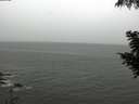 ./images/koeye/fitz-hugh/20200830/fitz-hugh20200830_121001.jpg