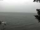./images/koeye/fitz-hugh/20200830/fitz-hugh20200830_121501.jpg
