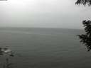 ./images/koeye/fitz-hugh/20200830/fitz-hugh20200830_122001.jpg
