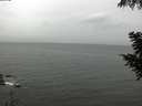 ./images/koeye/fitz-hugh/20200830/fitz-hugh20200830_122502.jpg