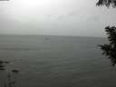 ./images/koeye/fitz-hugh/20200830/fitz-hugh20200830_124002.jpg