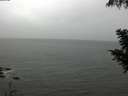 ./images/koeye/fitz-hugh/20200830/fitz-hugh20200830_124502.jpg