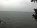 ./images/koeye/fitz-hugh/20200830/fitz-hugh20200830_125002.jpg