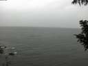 ./images/koeye/fitz-hugh/20200830/fitz-hugh20200830_125502.jpg