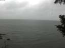 ./images/koeye/fitz-hugh/20200830/fitz-hugh20200830_131002.jpg