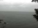 ./images/koeye/fitz-hugh/20200830/fitz-hugh20200830_131502.jpg