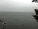 ./images/koeye/fitz-hugh/20200830/fitz-hugh20200830_132002.jpg