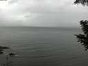 ./images/koeye/fitz-hugh/20200830/fitz-hugh20200830_135501.jpg