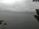 ./images/koeye/fitz-hugh/20200830/fitz-hugh20200830_141001.jpg