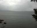 ./images/koeye/fitz-hugh/20200830/fitz-hugh20200830_141501.jpg