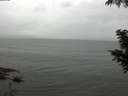 ./images/koeye/fitz-hugh/20200830/fitz-hugh20200830_142501.jpg