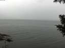 ./images/koeye/fitz-hugh/20200830/fitz-hugh20200830_144001.jpg