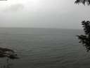 ./images/koeye/fitz-hugh/20200830/fitz-hugh20200830_144501.jpg