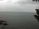 ./images/koeye/fitz-hugh/20200830/fitz-hugh20200830_145501.jpg