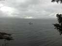./images/koeye/fitz-hugh/20200830/fitz-hugh20200830_150501.jpg