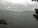 ./images/koeye/fitz-hugh/20200830/fitz-hugh20200830_151001.jpg