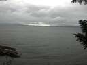 ./images/koeye/fitz-hugh/20200830/fitz-hugh20200830_152002.jpg