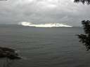 ./images/koeye/fitz-hugh/20200830/fitz-hugh20200830_153502.jpg