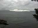 ./images/koeye/fitz-hugh/20200830/fitz-hugh20200830_154002.jpg