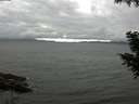 ./images/koeye/fitz-hugh/20200830/fitz-hugh20200830_154502.jpg