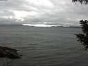 ./images/koeye/fitz-hugh/20200830/fitz-hugh20200830_155002.jpg