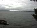 ./images/koeye/fitz-hugh/20200830/fitz-hugh20200830_155502.jpg