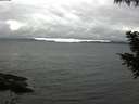 ./images/koeye/fitz-hugh/20200830/fitz-hugh20200830_160002.jpg