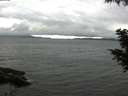 ./images/koeye/fitz-hugh/20200830/fitz-hugh20200830_160502.jpg