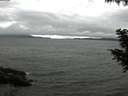 ./images/koeye/fitz-hugh/20200830/fitz-hugh20200830_161002.jpg