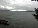 ./images/koeye/fitz-hugh/20200830/fitz-hugh20200830_162001.jpg