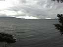 ./images/koeye/fitz-hugh/20200830/fitz-hugh20200830_164501.jpg